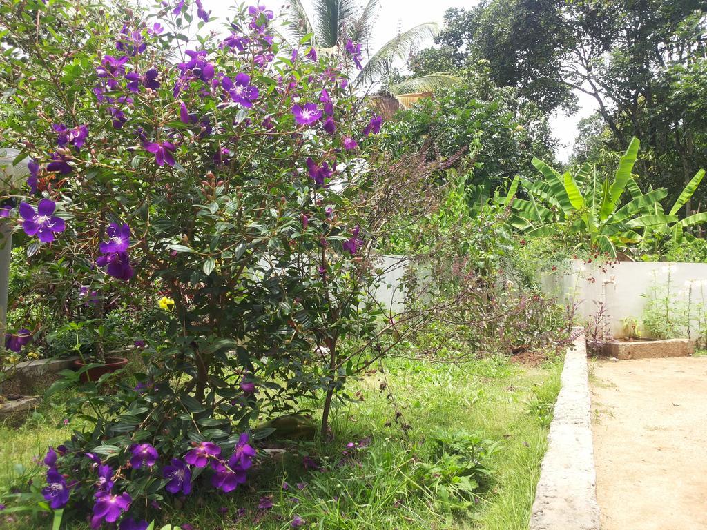Athens Cottage Мунар Екстериор снимка